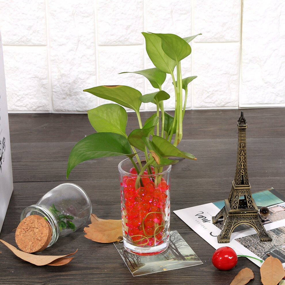 3000PC Gel Balls Water Plant Flower Crystal Soil Mud Water Pearls Wedding Decorations(Red)-image-OPC-PHWP6D2-NEW