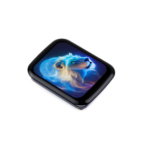 1,69 Zoll rundes LCD-Anzeigemodul mit Touchpanel 1