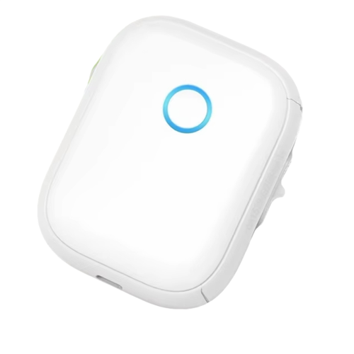 Etichettatrice portatile P12 Wireless Bluetooth per archiviazione ufficio casa, B 1