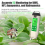 PH Meter Hydroponic Water Quality Tester LCD Backlight Thermometer 3