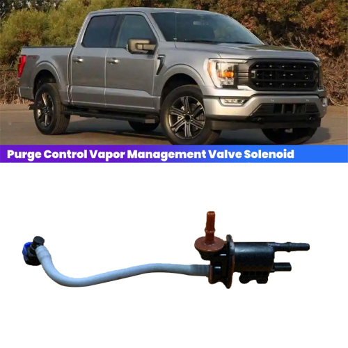 Auto Purge Control Dampf Management Ventil SolenoidJL3Z9B325C für 1
