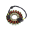 Bobina statore / Statore per CBR1000RR 2004-2007 4