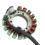 Motorcycle Generator Stator Coil for Grizzly 600 3
