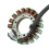 Motorcycle Generator Stator Coil for Grizzly 600 4