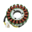 31401-35F10 Motorrad-Statorspule für 1