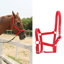High Density 6mm Thickened Webbing Horse Bridle Control Halter Riding Accessories Red Color