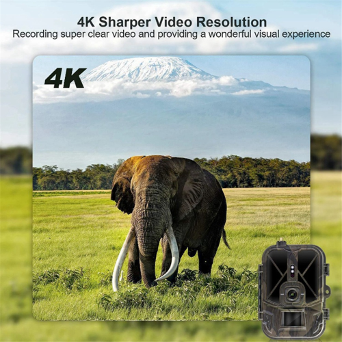 4G 4K 36MP Wildlife Camera with APP Control and Night VisionIn 1