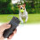 Portable Ultrasonic Pet Dog Repeller Anti Barking Control Training Device 4