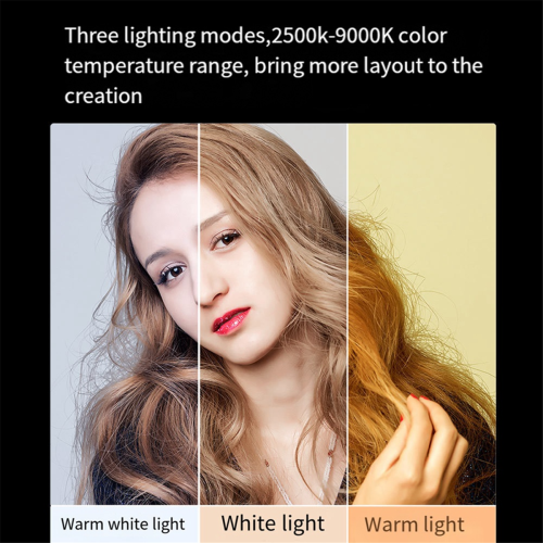 RGB LED-telefoonselfielamp, oplaadbaar video-invullicht 1