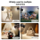 60W Profi-LED-Videoleuchte, Fotostudioleuchte, EU-Stecker 7