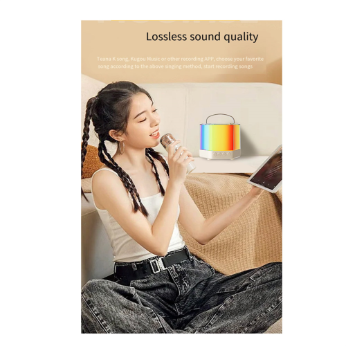 Karaokemachine, draagbare Bluetooth karaokeluidspreker met zwarte behuizing 2