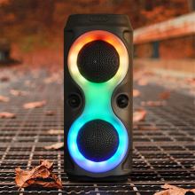 Kabelloser Bluetooth-Lautsprecher mit Subwoofer für Familien-Karaoke