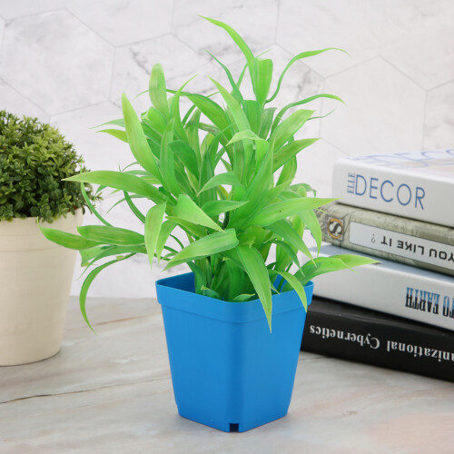 20pcs Mini Modern Succulent Plant Pots Small plastic Containers, Scrub square Pots（Blue） 2