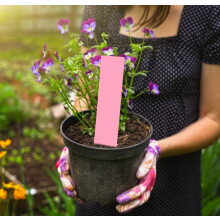 100pcs PVC Plant Flower Pot Tags Markers Nursery Garden Seed Sign Labels(Pink, Green)