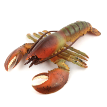 Realistic Marine Simulation Lobsters Model Figures Toy for Kid Gift B