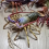 Realistic Marine Simulation Lobsters Model Figures Toy for Kid Gift B 5
