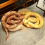 Simulation Python Plush Toy Gift Orange Ring Python 6