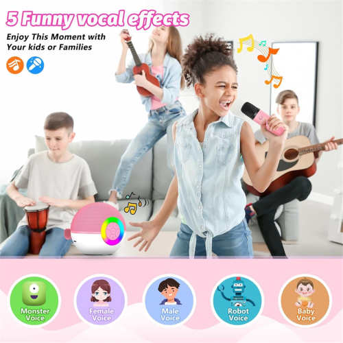 Mini karaokemachine met 2 microfoons, Bluetooth-microfoon, liedjesspeelgoed, C 1