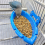 Papageienfuttertablett, multifunktionale blaue Badewanne, stehende Duschbox 5