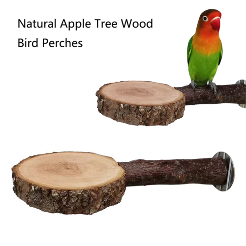 Natural Wood Pet Parrot Raw Wood Fork Tree Branch Rack Squirrel Bird 2