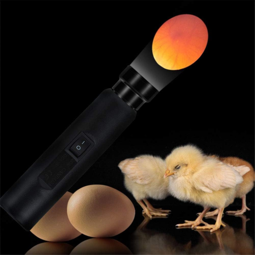 Draadloze oplaadbare LED-eierkaarstest met helder, koel licht 2