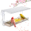 Window Bird Feeder for Outdoors, Clear Bird Feeders Window Mounted 4
