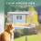Window Bird Feeder for Outdoors, Clear Bird Feeders Window Mounted 6