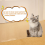 Carpet Protector for Pets,Cat Carpet Protector ,Under Door Mat 3ft 4