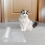 Carpet Protector for Pets,Cat Carpet Protector ,Under Door Mat 3ft 7
