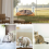 Hamac de fenêtre pour chat avec ventouse 3