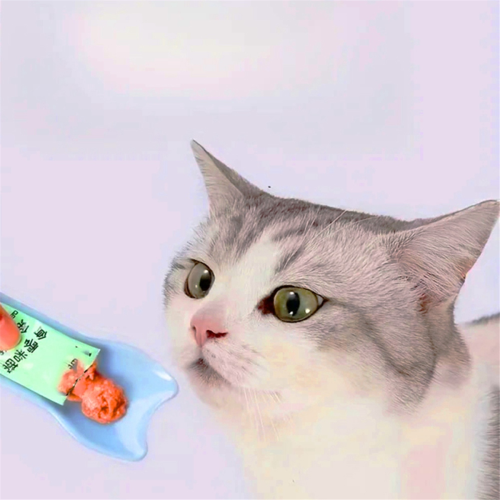 Cucchiaio per gatti, mangiatoia per gatti, A 1