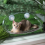 Cat Litter for All Seasons Cat Climbing Frame Cat Window Suction Cup 4