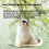 Cat Litter for All Seasons Cat Climbing Frame Cat Window Suction Cup 3