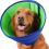 Collare a cono per cani, protezione per ferite S 3