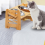 Pet Feeding Bowl with Adjustable Bracket Lifting Dog Bowl 2