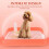 Hundetoilette aus Netzgewebe, Welpentoilette C 4