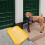 Hundetoilette aus Netzgewebe, Welpentoilette C 5