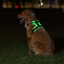 Coleira peitoral luminosa ajustável para animais de estimação, tamanho M.
