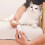 Coupe-ongles électrique rechargeable pour chats et chiens 4