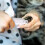 Coupe-ongles électrique rechargeable pour chats et chiens 5