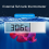 LCD Digital Fish Tank Temperature Measurement Thermometer Gold 7