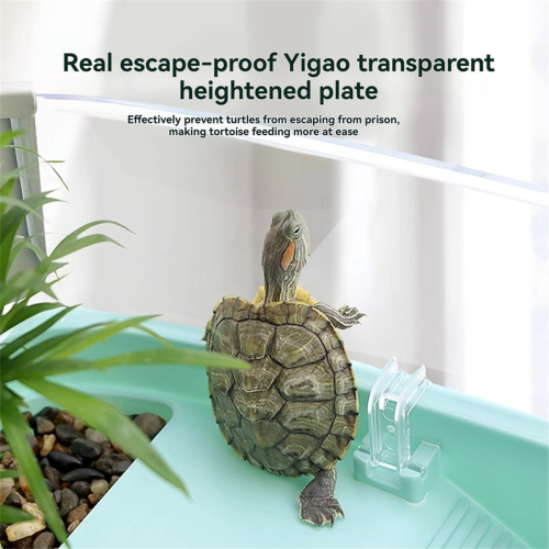 Casa para tartarugas transparente com áreas para reprodução, tipo branco