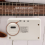 KB-10 Gitarrförstärkare 10W Bluetooth-högtalare 4