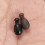 Europese karpervisserijuitrusting Space Bean Visgerei Accessoires 2