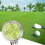 Buitengolf niveau helling lezen Mark-White 4