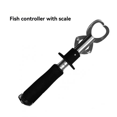 Stainless Steel Belt Weigher with Ruler Fish Controller,D 1