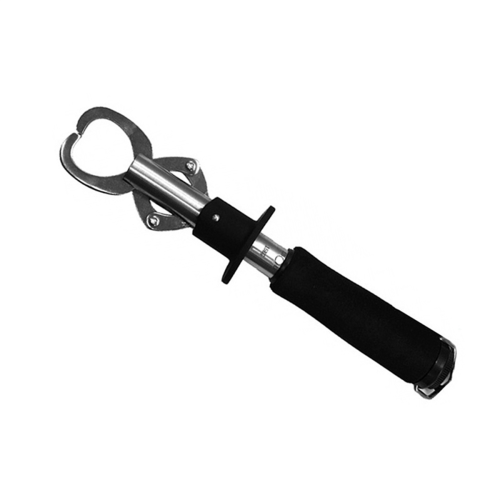 Stainless Steel Belt Weigher with Ruler Fish Controller,D