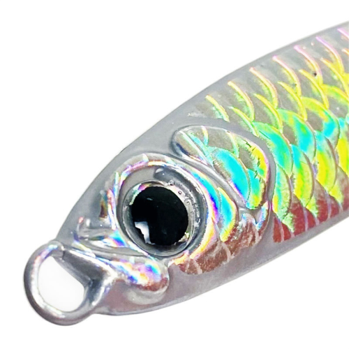 20g x 10st långdistansblyfisk järnplatta blyfisk silver 1