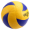 Voleibol de competición profesional de talla 5. 3