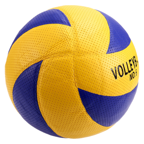 Voleibol de competición profesional de talla 5. 2